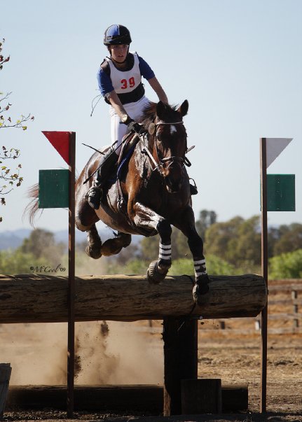 20234_277121361553_1346742_n